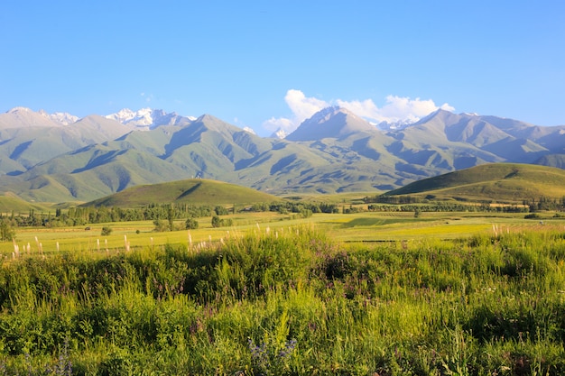 Montagnes et collines sur champs verts