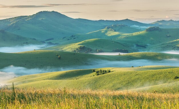 Les montagnes et les collines dans le brouillard du matin