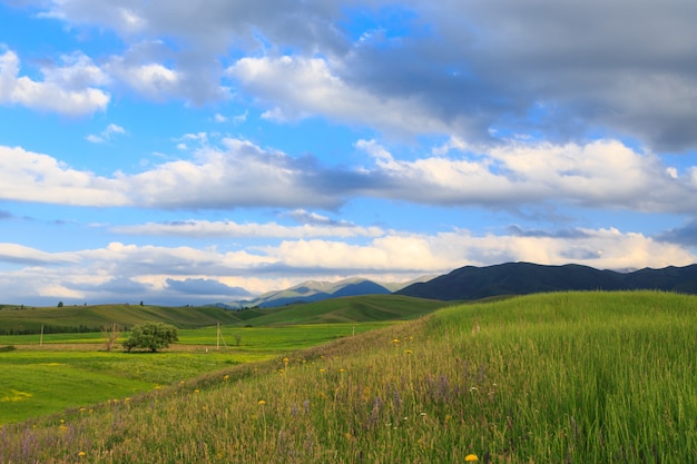 montagnes et collines verdoyantes