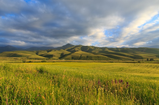 montagnes et collines verdoyantes