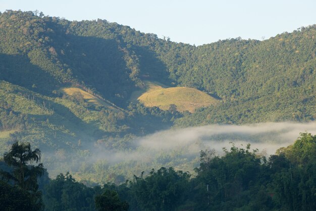 Montagnes couvertes de brouillard