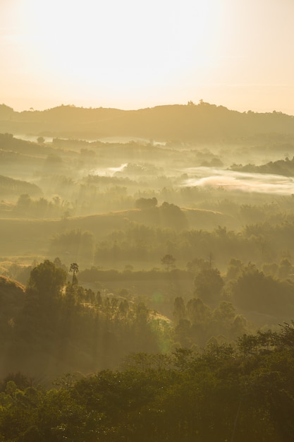 Montagnes couvertes de brume