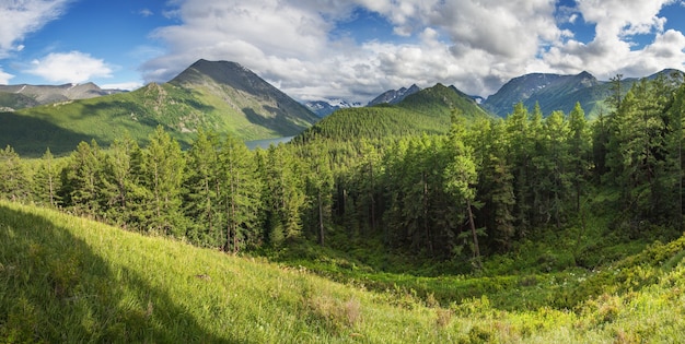 Montagnes couvertes de forêt un soir d'été