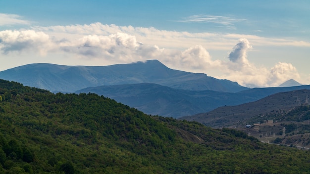 Montagnes couvertes de forêt verte dense