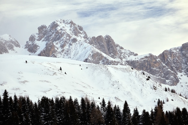 Montagnes couvertes de neige