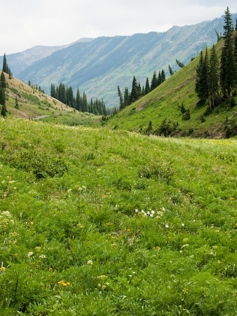 Montagnes à Crested Butte, Colorado.