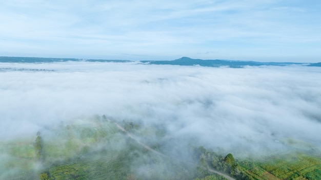 Photo montagnes dans le brouillard au bel automne à phetchabun thaïlande brouillard vallée de montagne nuages bas forêt ciel coloré avec des pins dans la forêt brumeuse d'épinettes avec un lever de soleil lumineux