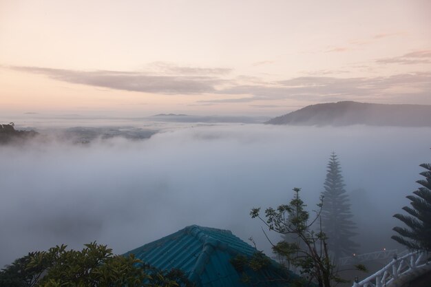 Montagnes dans le brouillard du matin