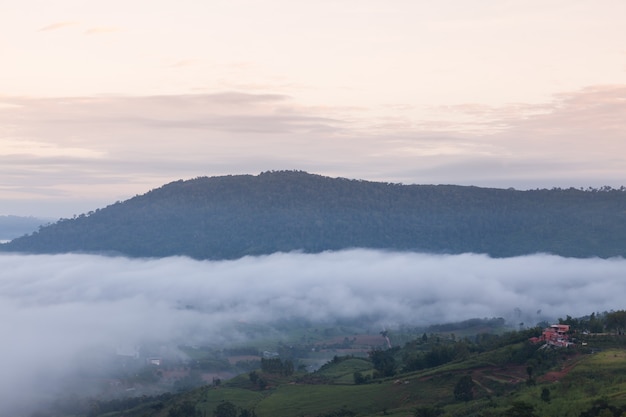 Montagnes dans le brouillard du matin