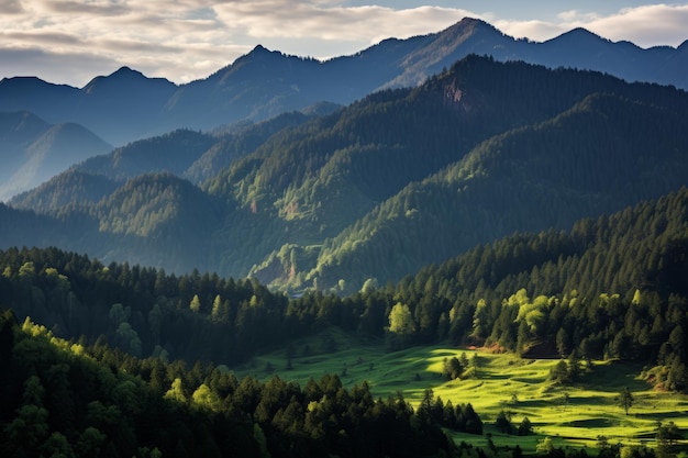 Montagnes dans une forêt de conifères le matin eco nature générative ai