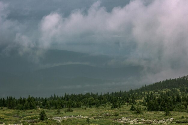 Montagnes dans les nuages et paysage d'été dramatique de la forêt verte