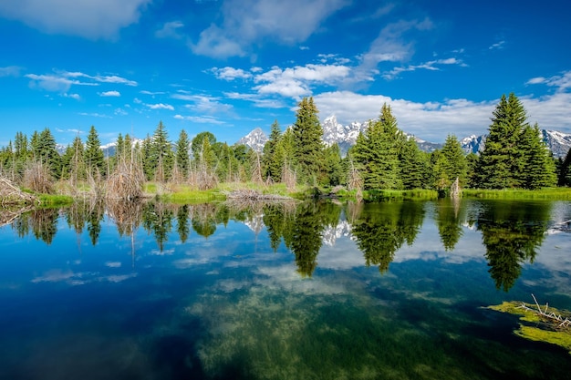 Photo montagnes dans le parc national de grand teton avec reflet dans la rivière snake