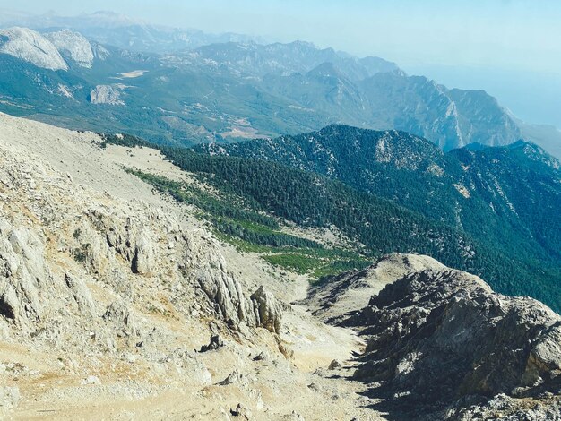 Montagnes dans un pays tropical chaud contre un ciel bleu plantes vertes arbres et buissons poussent