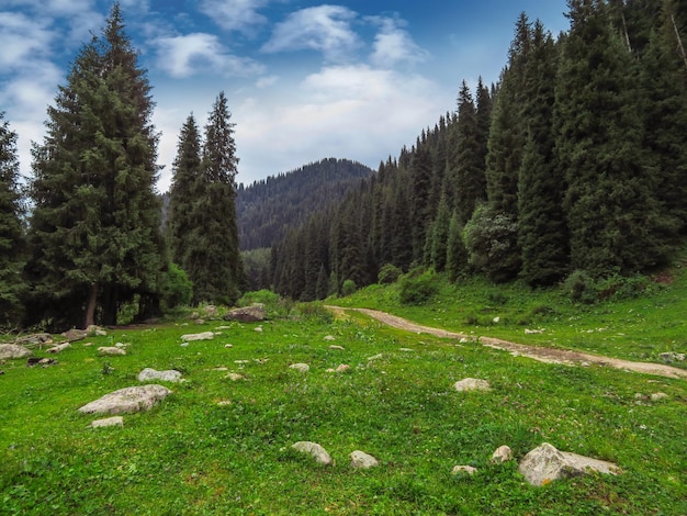 Montagnes du Tian Shan