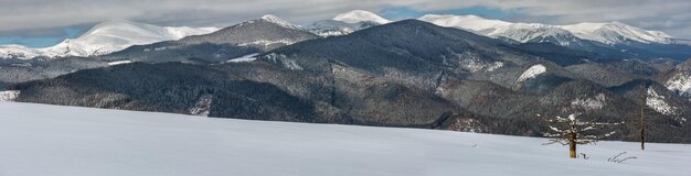 Montagnes enneigées d'hiver des Carpates Ukraine