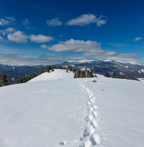 Montagnes enneigées d'hiver des Carpates Ukraine