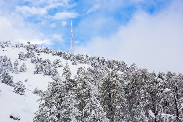 Montagnes enneigées d'hiver