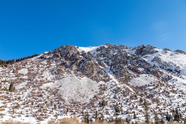 Montagnes enneigées en hiver