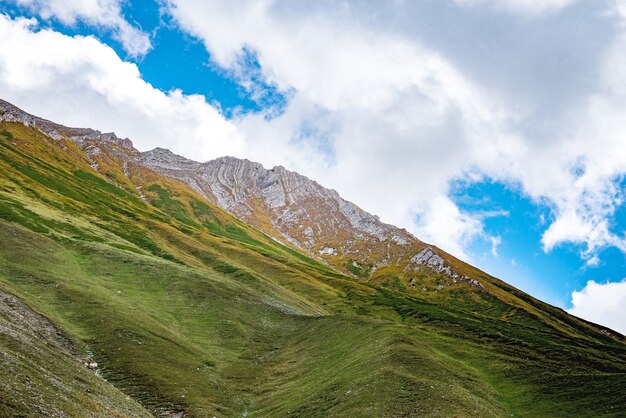 Montagnes d'été herbe verte et paysage de ciel bleu