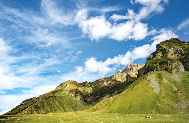 Montagnes d'été herbe verte et paysage de ciel bleu