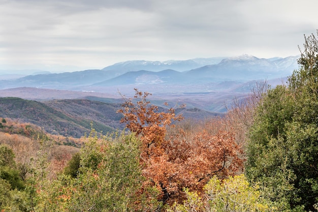 Montagnes et forêt un jour d'hiver Grèce