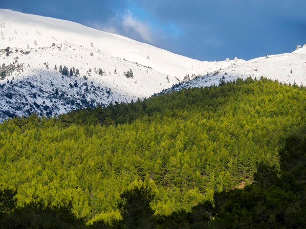 Montagnes et forêt avec de la neige sur fond de nuages par une journée ensoleillée