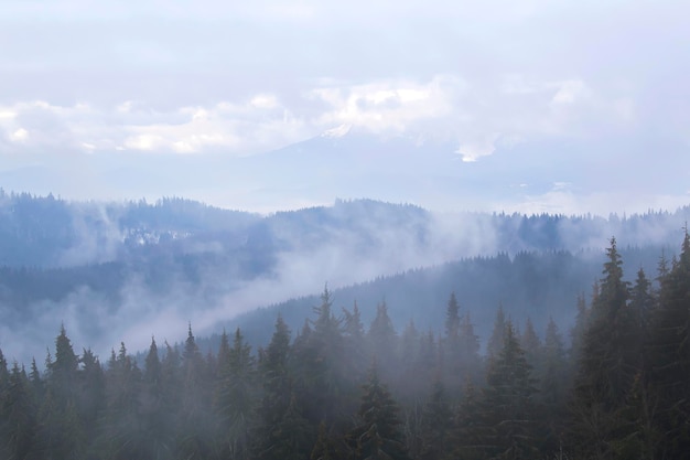 Montagnes et forêt de sapins enneigés d'hiver dans un magnifique paysage brumeux et nuageux.