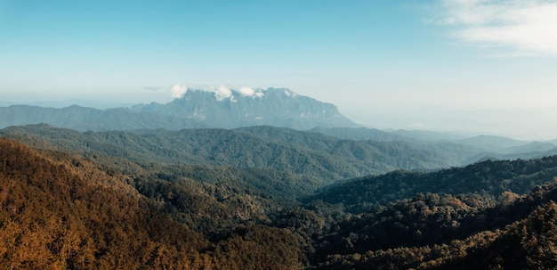 Montagnes et forêts asiatiques le matin, camping