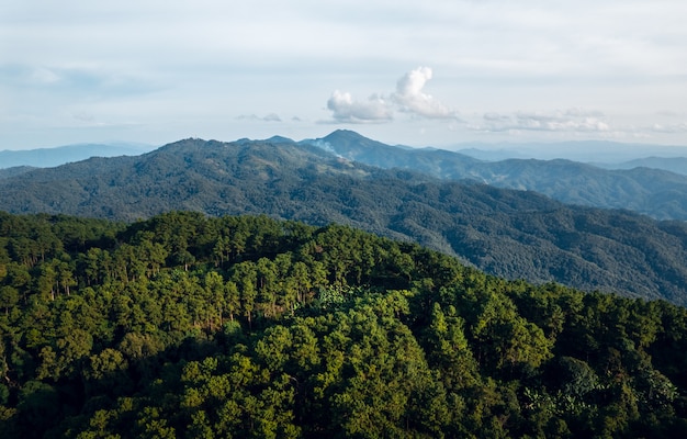 Montagnes et forêts vertes d'été d'en haut