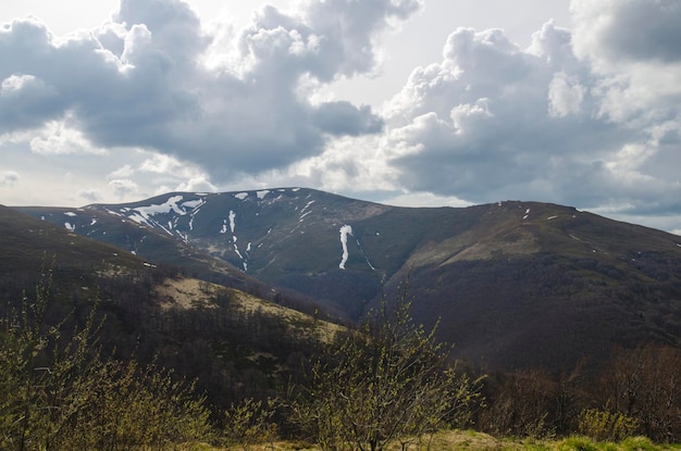 Montagnes et forêts vue aérienne