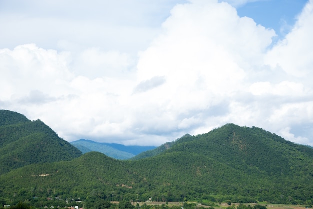 Montagnes et forêts