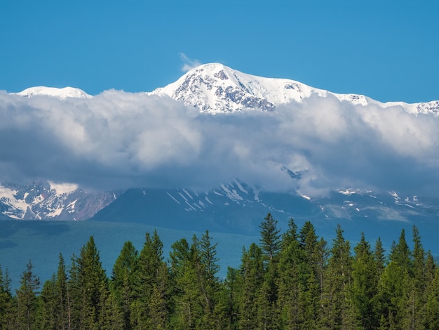 Montagnes géantes avec de la neige au-dessus de la forêt verte en journée ensoleillée. Glacier sous ciel bleu. Incroyable paysage de montagne enneigée d'une nature majestueuse.