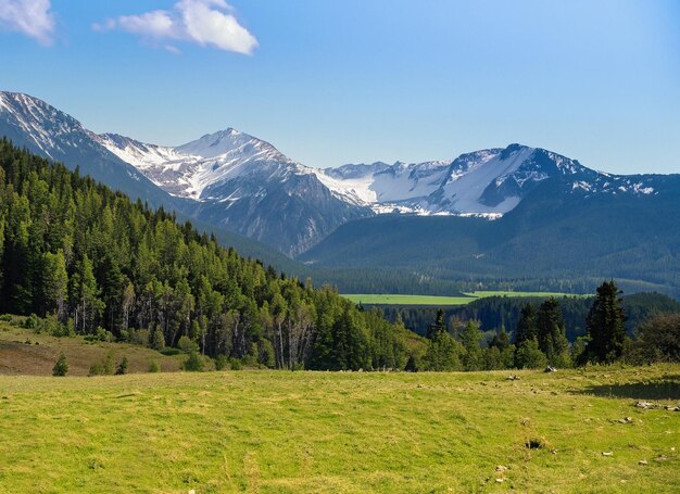 Photo des montagnes géantes avec de la neige au-dessus de la vallée verte