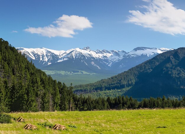 Photo des montagnes géantes avec de la neige au-dessus de la vallée verte