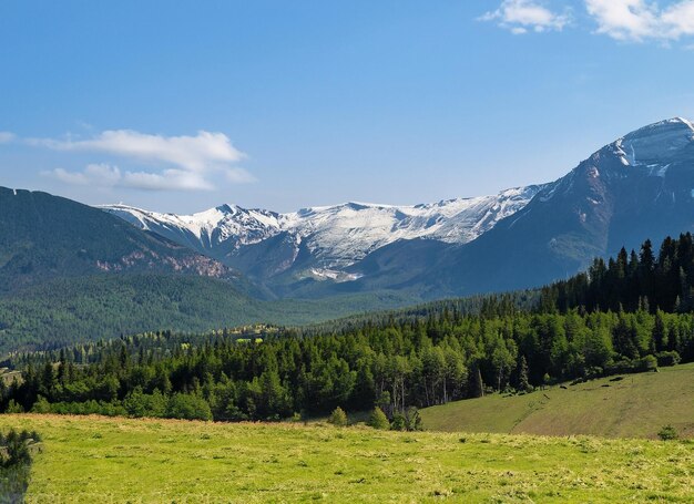 Des montagnes géantes avec de la neige au-dessus de la vallée verte