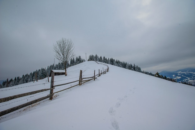 Montagnes d'hiver des Carpates