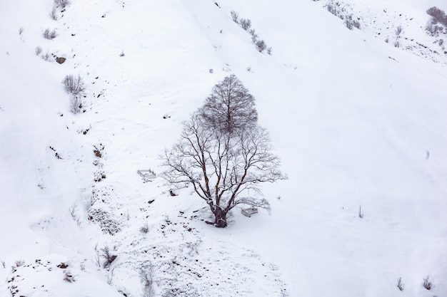 Montagnes d'hiver enneigées en Géorgie