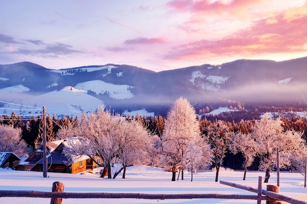 Des montagnes incroyables au soleil du matin. Carpates, Ukraine, Europe.