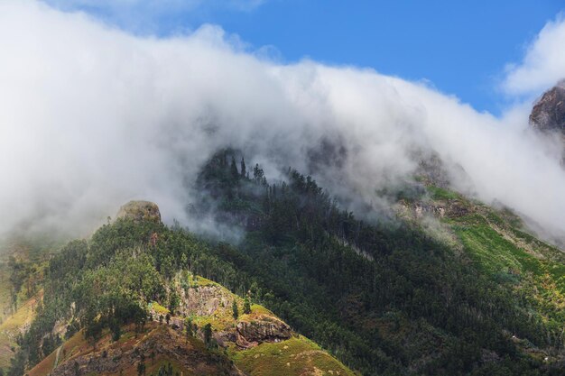 Montagnes à Madère