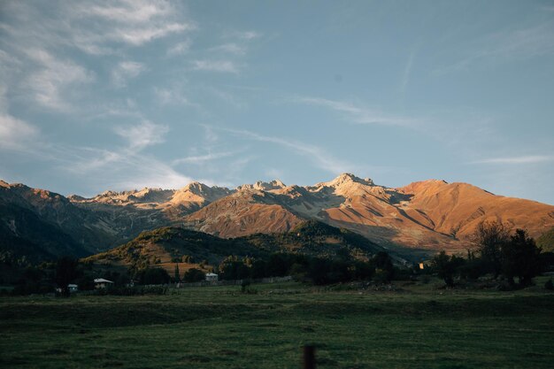 montagnes le matin faune paysage de montagne