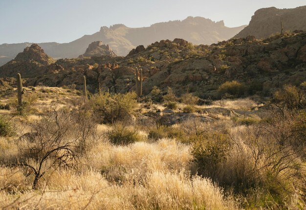 Les montagnes de McDowell