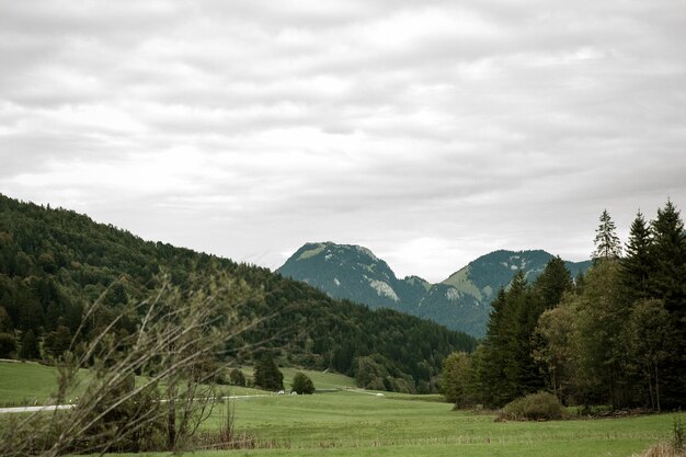 Photo montagnes nature rocheuse paysage prairie herbe brouillard