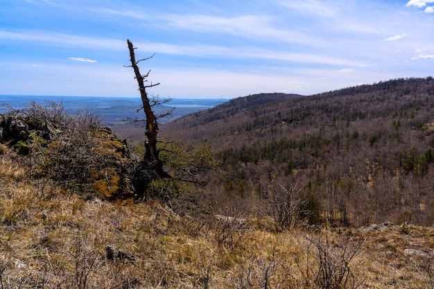 Montagnes de l'Oural du Sud avec une végétation paysagère unique et une nature diversifiée