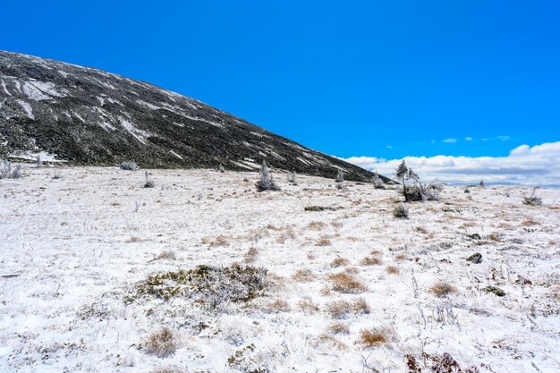 Montagnes de l'Oural du Sud avec une végétation paysagère unique et une nature diversifiée