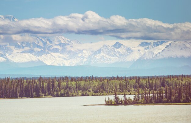 Montagnes pittoresques de l'Alaska en été. Massifs enneigés, glaciers et pics rocheux.