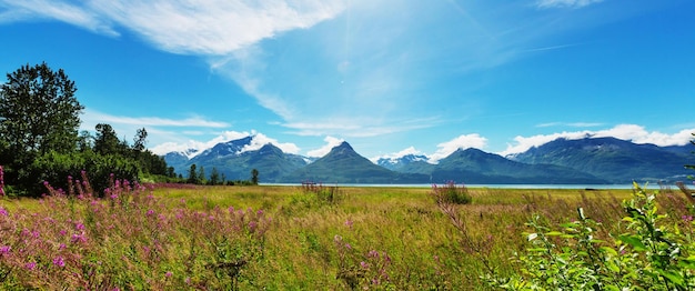 Montagnes pittoresques de l'Alaska en été. Massifs enneigés, glaciers et pitons rocheux.