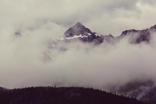 Montagnes pittoresques de l'Alaska en été. Massifs enneigés, glaciers et pitons rocheux.