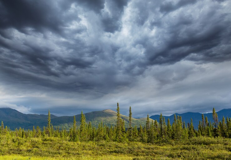 Montagnes pittoresques de l'Alaska.