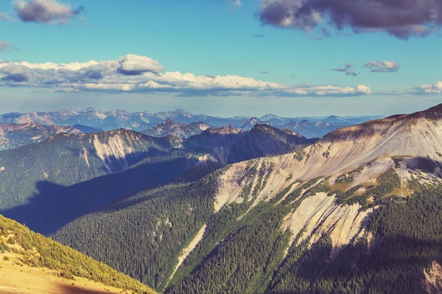 Montagnes pittoresques en été