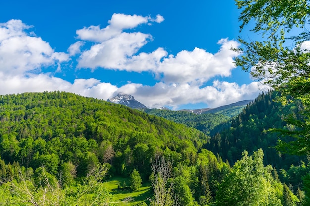 Les montagnes pittoresques de Komovi sont situées à l'est du Monténégro